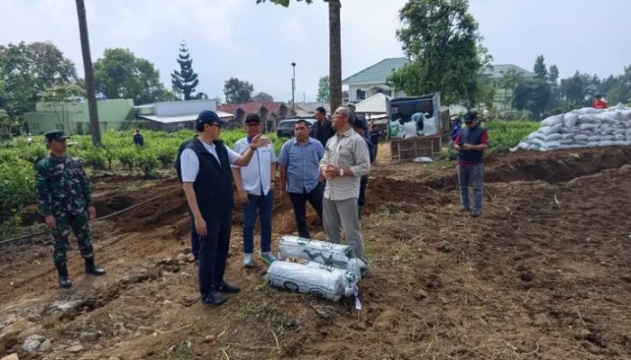 Holding Perkebunan Nusantara Kembangkan Kawasan Bawang Putih Berbasis Konservasi di Jawa Barat