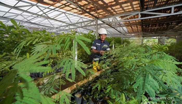 Grup MIND ID Reklamasi 8.000 Hektare Lahan dan Rehabilitasi DAS 37.700 Hektare, Perbaiki Kualitas Keanekaragaman Hayati